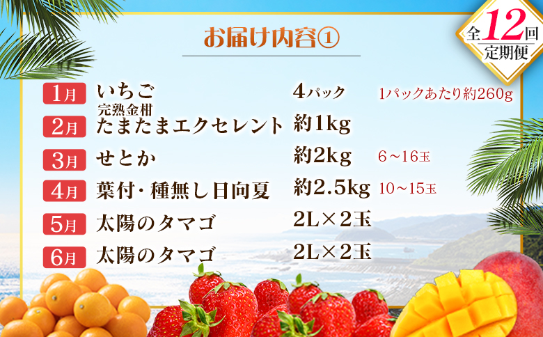 【12回定期便】旬 人気 フルーツ 南国宮崎産 太陽のタマゴ たまたまエクセレント シャインマスカット ピオーネ いちご みかん 日向夏 メロン 梨 柑橘 完熟 マンゴー きんかん たまたま ぶどう 果物 詰め合わせ 宮崎県 九州 1年 毎月お届け＜Aコース M100＞