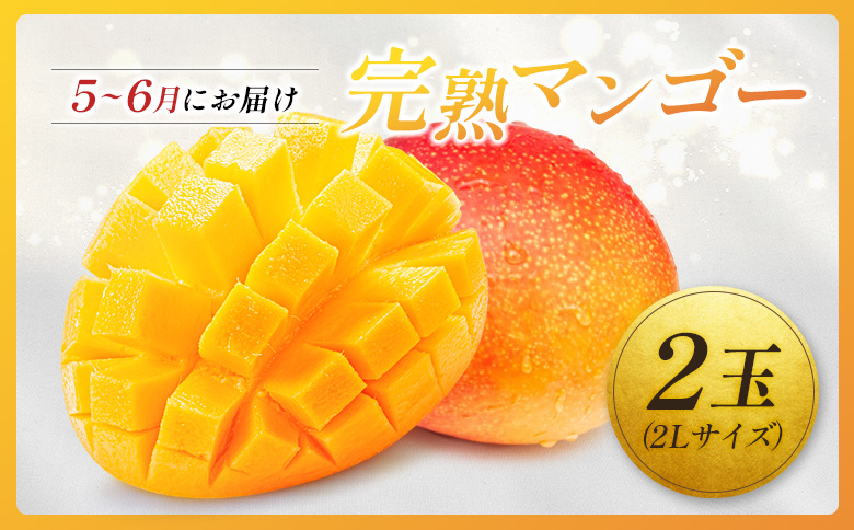 ＜2026年発送＞ フルーツ 定期便 完熟マンゴー シャインマスカット ぶどう 先行予約 初夏 秋 旬 果物 全2回