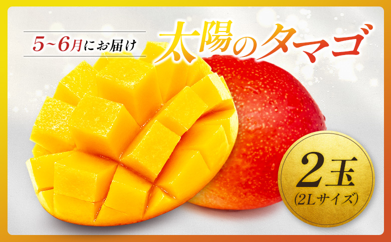 ＜2026年発送＞ フルーツ 定期便 太陽のタマゴ ピオーネ 完熟 マンゴー ぶどう 先行予約 初夏 秋 旬 果物 全2回