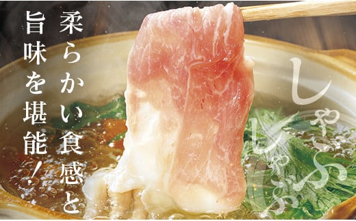 ◆宮崎ブランドポーク　ロースしゃぶしゃぶ用(合計1.5kg)