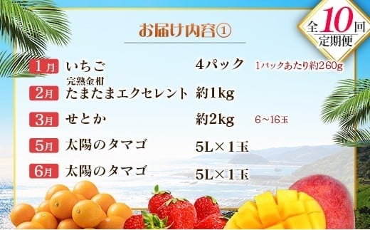 【10回定期便】旬 人気 フルーツ 南国宮崎産 太陽のタマゴ 金柑たまたまエクセレント シャインマスカット ピオーネ いちご みかん 梨 メロン 柑橘 マンゴー きんかん たまたま ぶどう 果物 詰め合わせ 宮崎県 九州＜E-1コース M500＞