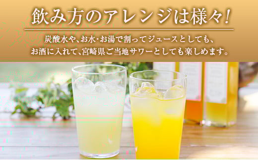 ◆宮崎ハンドメイド　日向夏シロップ×3本セット(合計600ml)
