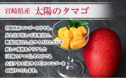 太陽のタマゴ(4L×2玉)と宮崎県産キャビア12g×2個セット