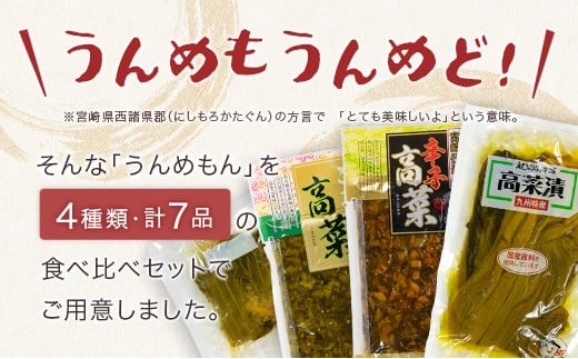 「霧島連山」天然水仕込みの高菜漬け 4種 食べ比べ セット 宮崎県産