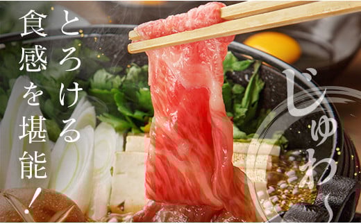 ◆宮崎牛ローススライス(500g)