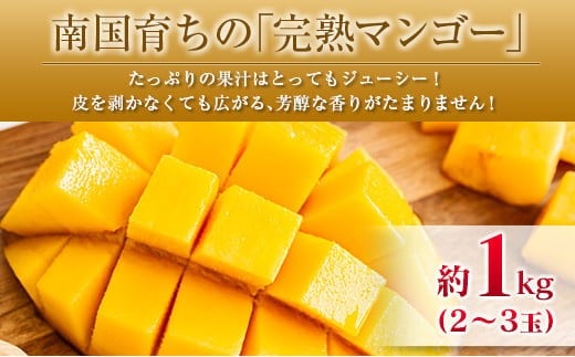 ◆宮崎県産 マンゴー＆ライチセット（合計約1.4kg）