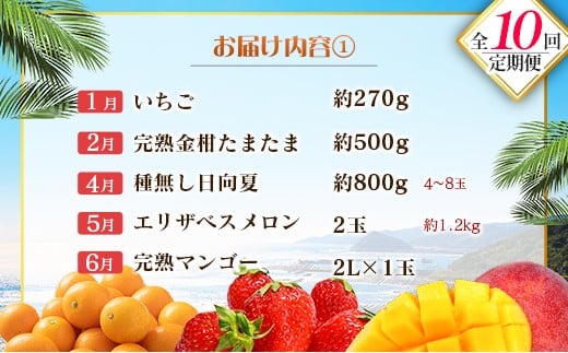 【10回定期便】旬 人気 フルーツ 南国宮崎産 マンゴー 金柑たまたま シャインマスカット ピオーネ いちご みかん 日向夏 メロン 柑橘 きんかん ぶどう 果物 詰め合わせ 宮崎県 九州＜E-3コース M700＞
