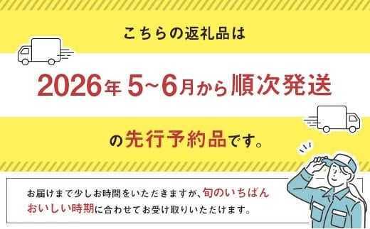 ＜2026年発送＞ フルーツ 定期便 完熟マンゴー ピオーネ ぶどう 先行予約 初夏 秋 旬 果物 全2回