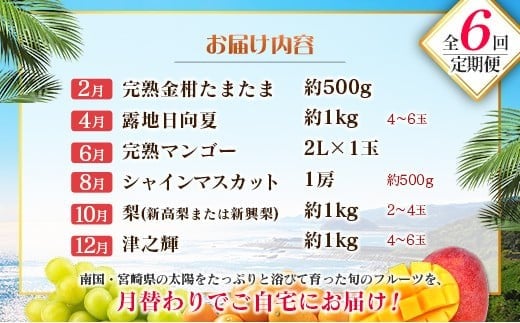 【偶数月 6回定期便】旬 人気 フルーツ 南国宮崎産 マンゴー 金柑たまたま シャインマスカット みかん 梨 日向夏 柑橘 きんかん ぶどう 果物 詰め合わせ 宮崎県 九州＜C-2コース M320＞