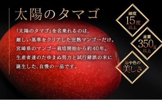 ≪先行予約≫ 宮崎県産 完熟マンゴー「太陽のタマゴ」約1kg 計2～3玉 2026年発送 ブランド 南国 トロピカル フルーツ 果物 くだもの 化粧箱入り 約1kg（2～3玉×1箱）