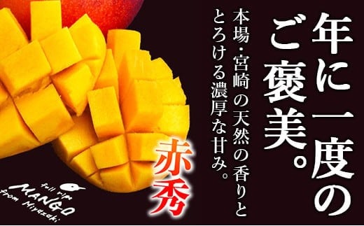 宮崎県産完熟マンゴー[赤秀] 合計約1kg（2～3玉）