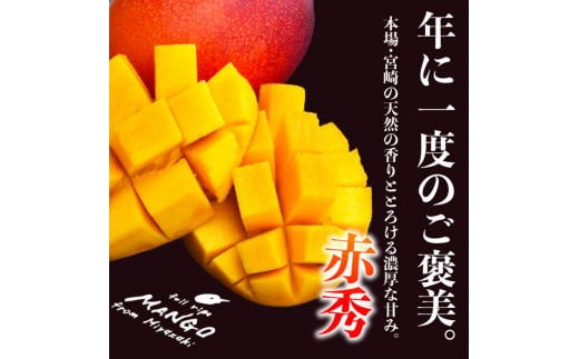 宮崎県産完熟マンゴー[赤秀] 合計約2kg（4～6玉）