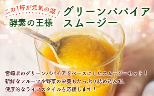 南国酵素スムージー グリーンパパイア 200ml×12本 全6種 宮崎県産