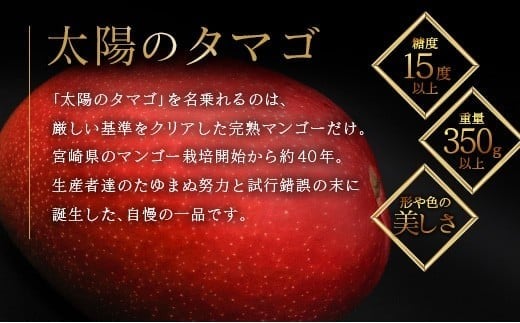 ≪先行予約≫ 宮崎県産 完熟マンゴー「太陽のタマゴ」約3kg 計6～9玉 2026年発送 ブランド 南国 トロピカル フルーツ 果物 くだもの 化粧箱入り 約3kg（2～3玉×3箱）