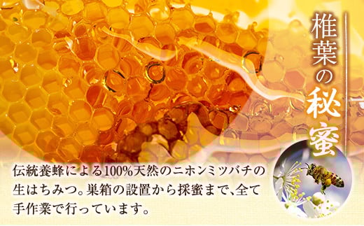 宮崎県産 はちみつ 「椎葉の秘蜜」 小 50g瓶 1個