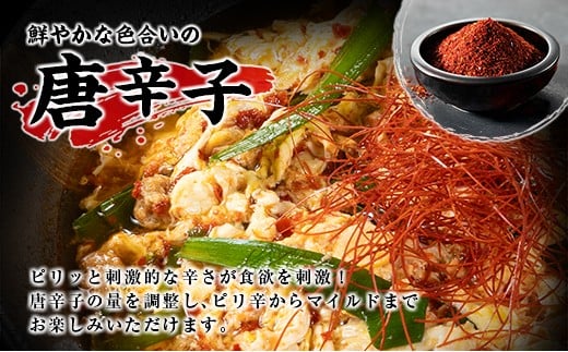 辛麺うどん 3食分 （160g×3食） 半生 インスタント 常温保存 一心うどん