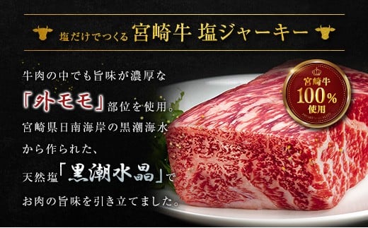 塩だけでつくる 宮崎牛 塩ジャーキー 10袋（20g×10袋）ブランド牛 ビーフジャーキー おつまみ 珍味 グルメ 干し肉 宮崎県産