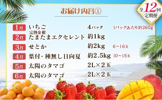 【12回定期便】旬 人気 フルーツ 南国宮崎産 太陽のタマゴ たまたまエクセレント シャインマスカット ピオーネ いちご みかん 日向夏 メロン 梨 柑橘 完熟 マンゴー きんかん たまたま ぶどう 果物 詰め合わせ 宮崎県 九州 1年 毎月お届け＜Aコース M100＞