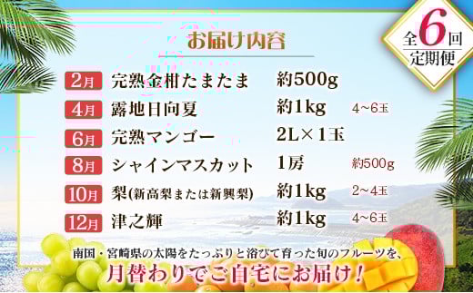 【偶数月 6回定期便】旬 人気 フルーツ 南国宮崎産 マンゴー 金柑たまたま シャインマスカット みかん 梨 日向夏 柑橘 きんかん ぶどう 果物 詰め合わせ 宮崎県 九州＜C-2コース M320＞