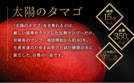 ≪先行予約≫ 宮崎県産 完熟マンゴー「太陽のタマゴ」約2kg 計4～6玉 2026年発送 ブランド 南国 トロピカル フルーツ 果物 くだもの 化粧箱入り 約2kg（2～3玉×2箱）