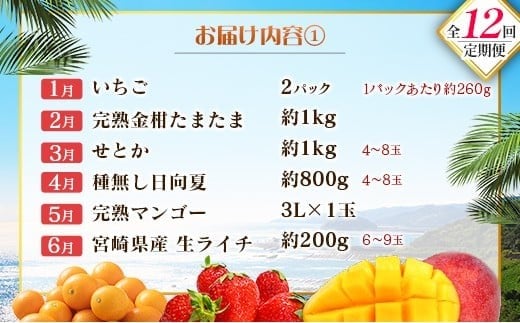 【12回定期便】旬 人気 フルーツ 南国宮崎産 マンゴー ライチ 金柑たまたま シャインマスカット ピオーネ いちご みかん 日向夏 メロン 梨 柑橘 きんかん ぶどう 果物 詰め合わせ 宮崎県 九州 1年 毎月お届け＜Bコース M200＞