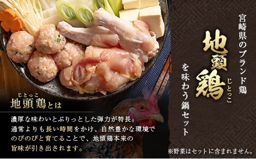 みやざき地頭鶏（じとっこ）鍋セット（4～5人前）具入り 鶏鍋 鶏だし スープ付き 冷凍 鶏肉 宮崎県