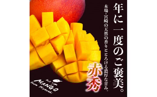 宮崎県産完熟マンゴー[赤秀] 合計約2kg（4～6玉）