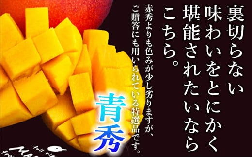 宮崎県産完熟マンゴー[青秀] 合計約1kg（2～3玉）