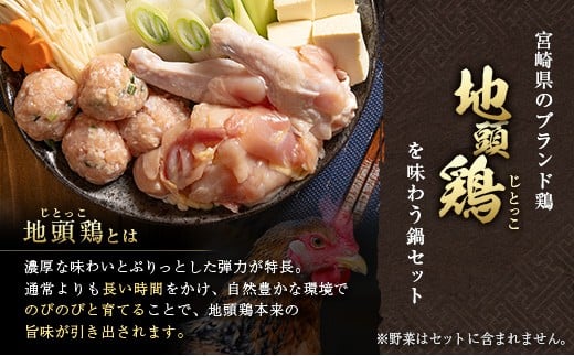 みやざき地頭鶏（じとっこ）鍋セット（4～5人前）具入り 鶏鍋 鶏だし スープ付き 冷凍 鶏肉 宮崎県