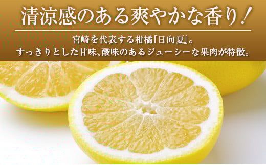 ◇宮崎県産 露地日向夏 約5kg（満杯詰め）