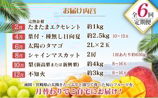 【偶数月 6回定期便】旬 人気 フルーツ 南国宮崎産 太陽のタマゴ きんかん シャインマスカット 日向夏 梨 みかん 柑橘 マンゴー ぶどう 果物 詰め合わせ＜A-2コース M120＞
