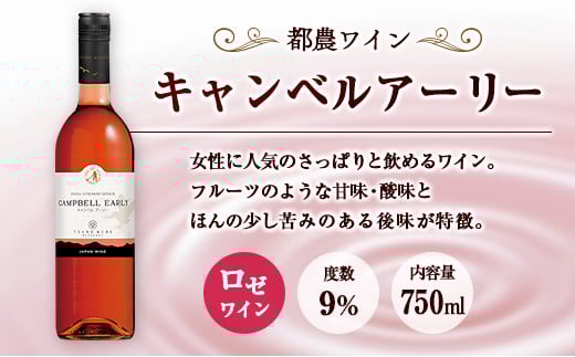 □【大阪屋】宮崎産ワイン　2種セット