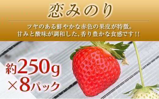 ◆「南国宮崎発」　いちご・完熟マンゴー・スイートコーン　3回定期便