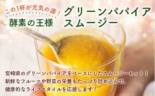 南国酵素スムージー グリーンパパイア 200ml×6本 全6種 宮崎県産