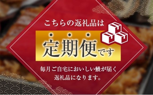 ＜定期便＞2尾×全12回 国産 うなぎ 白焼 蒲焼 セット 合計4.3kg以上（1回あたり 合計362g以上） 肝焼き・たれ付き 有頭 宮崎県産 鰻 中村商店