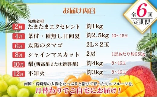 【偶数月 6回定期便】旬 人気 フルーツ 南国宮崎産 太陽のタマゴ きんかん シャインマスカット 日向夏 梨 みかん 柑橘 マンゴー ぶどう 果物 詰め合わせ＜A-2コース M120＞
