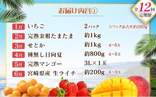 【12回定期便】旬 人気 フルーツ 南国宮崎産 マンゴー ライチ 金柑たまたま シャインマスカット ピオーネ いちご みかん 日向夏 メロン 梨 柑橘 きんかん ぶどう 果物 詰め合わせ 宮崎県 九州 1年 毎月お届け＜Bコース M200＞