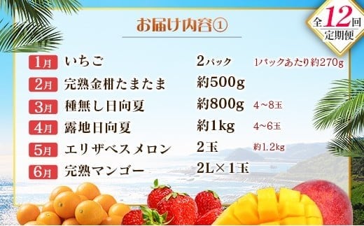 【12回定期便】旬 人気 フルーツ 南国宮崎産 マンゴー 金柑たまたま シャインマスカット ピオーネ いちご みかん 日向夏 メロン 梨 柑橘 きんかん ぶどう 果物 詰め合わせ 宮崎県 九州 1年 毎月お届け＜Cコース M300＞
