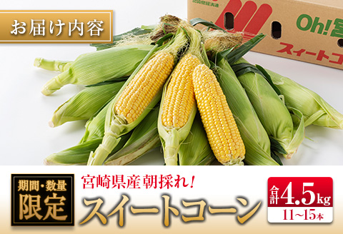 ◆朝採れスイートコーン (合計約4.5kg) 宮崎県産