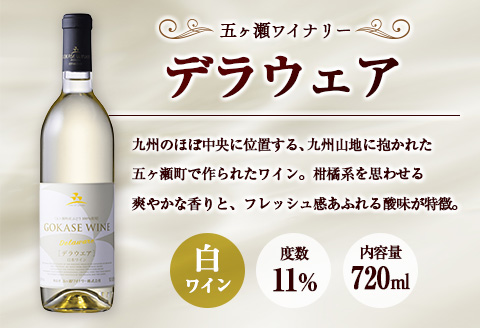 □【大阪屋】宮崎産ワイン　2種セット