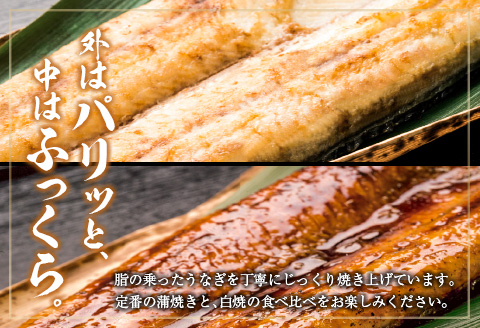 ◆中村商店 うなぎ白焼・蒲焼セット 合計362g以上 肝焼き付