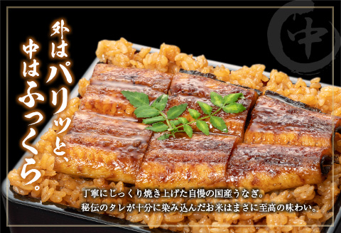 ◆中村商店 ダブルうなぎ飯セット 320g×2食