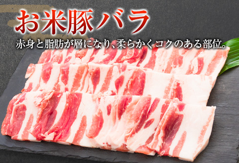 ◆宮崎県産 お米豚焼肉セット(合計1kg)