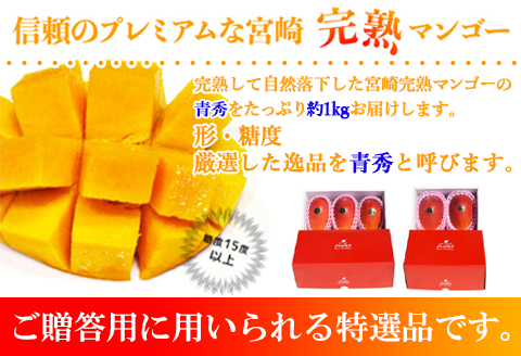 宮崎県産完熟マンゴー[青秀] 合計約1kg（2～3玉）