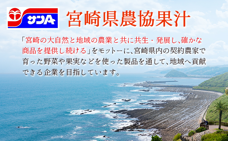 宮崎緑茶 すっきりわかば 500ml×24本 ペットボトル サンA