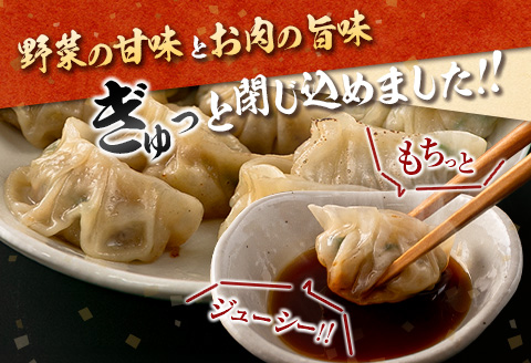 ◇「一口餃子の大明神」一口餃子セット 1箱（60個入り）