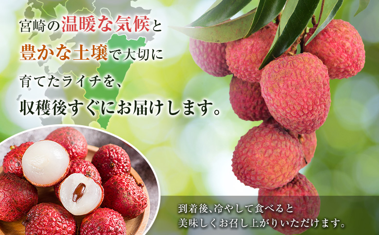 ◆希少！宮崎県産 生ライチ(合計約400g)