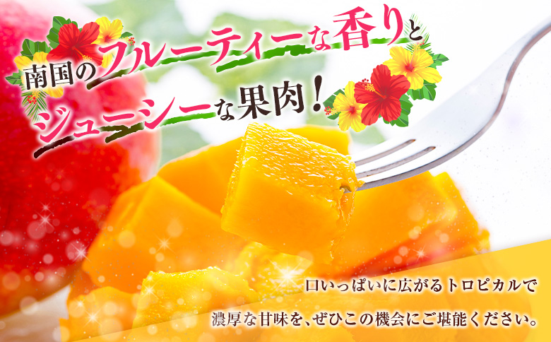 ◇「宮崎満喫」　完熟マンゴー約400g×2玉　3回定期便