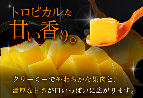 ≪先行予約≫ 宮崎県産 完熟マンゴー「太陽のタマゴ」約3kg 計6～9玉 2026年発送 ブランド 南国 トロピカル フルーツ 果物 くだもの 化粧箱入り 約3kg（2～3玉×3箱）