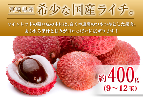 ◆宮崎県産 マンゴー＆ライチセット（合計約1.4kg）